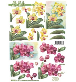 8215.776 3d vel A4 - Bloemen Orchidee -  Le Suh
