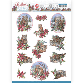 SB10670 3D Push Out - Christmas Miracle - Yvonne Design