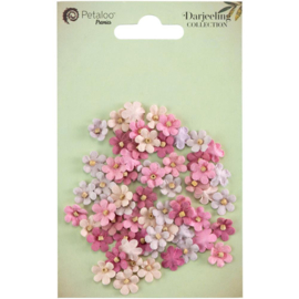 702965 Little Birdie Handmade Natalia Flowers 60/Pkg