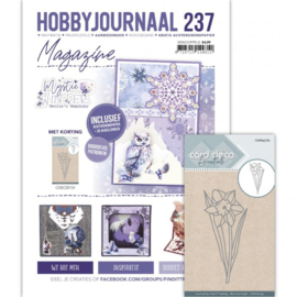 26-11-2024 Hobbyjournaal en nieuwe collectie