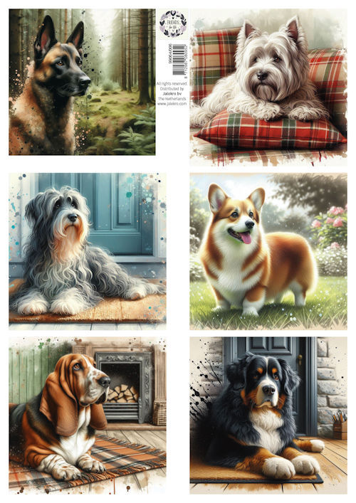 99064/006 Friends for Life - Knipvel A4 - Lovely dogs 3