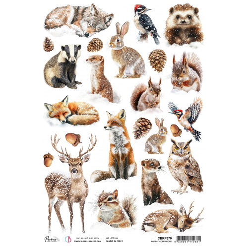 Forest Tales A4 Rice Paper Forest Companions  (CBRP570)
