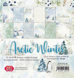 Paperpad Arctic Winter 30.5x30.5 - Craft en You - PAKKETPOST!