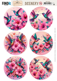 BBSC10095 Scenery Push out - Berries Beauties - Celestial Hummers - Round