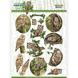 CD11564 3D Knipvel A4 - Amazing Owls - Amy Design