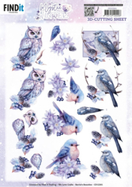 CD12261 3D Cutting Sheets - Berries Beauties - Mystic Winter - Mystic Birds