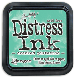 Cracked Pistachio - Mini Distress Inkt - Ranger
