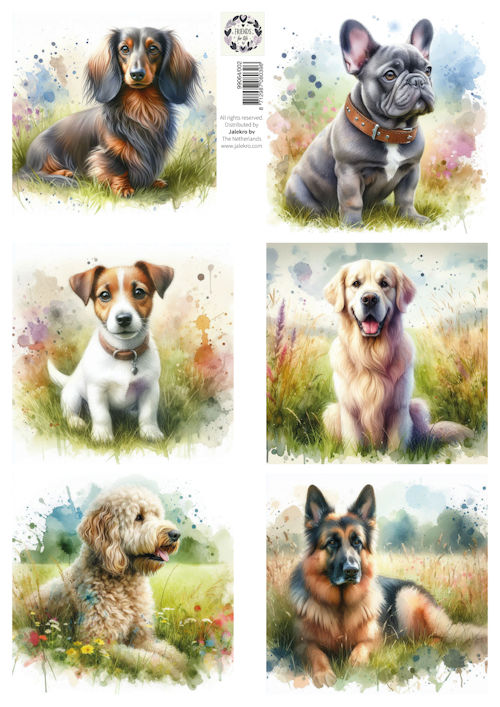 Knipvel A4 Friends for Life - lovely dogs 1