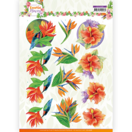 CD11688 3D vel A4 - Exotic Flowers - Jeanine's Art