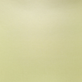 SCB180002   Textured Pearl Cardstock 30,5x30,5 cm ECRU 216 gsm - PAKKETPOST!!