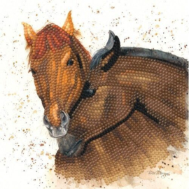 BMSA01 Bree Merryn - Diamond Art Card Kit - Chilli & Pepper