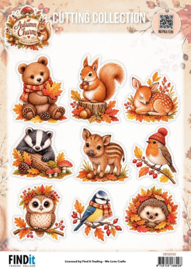 CD12552 Find It Collection - Cutting Collection - Autumn Charm - Colors of Fall