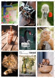 GH3281 Vintage vel - Dieren - Gerda's Hobbyshop