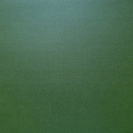 SCB180020   Textured Pearl Cardstock 30,5x30,5 cm DARK GREEN 216 gsm - PAKKETPOST!!!