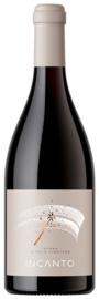 Medi Valley | Incanto | Syrah [MAGNUM]