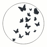 Muurdots | Vlinders