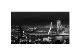 Inductieplaat beschermer | Skyline Rotterdam