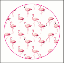 Muurdots |  buiten | Flamingo