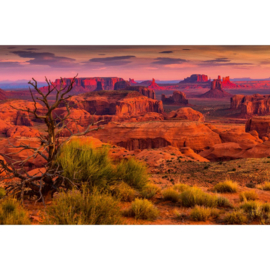 Dimex fotobehang  Monument Valley MS-5-1646