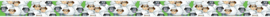 Schapen 3750034 Farm Life behangrand zelfklevend