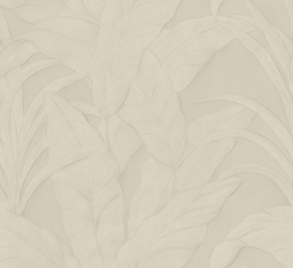 Arte Monsoon 75002B Musa