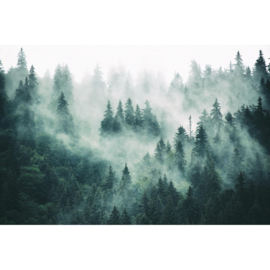 Dimex fotobehang bos in de mist MS-5-1863