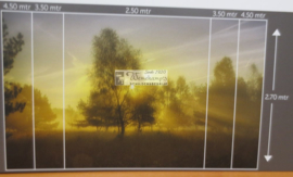 4611 Herfstochtend II Hollandse landschappen
