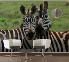 XXL wallpaper zebra illusie in Tanzania DD100734