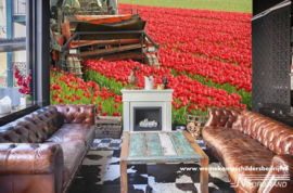 Tulip Field 3750003 Farm Life tulpenveld