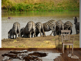 XXL wallpaper zebra's aan het water in Tanzania DD100626