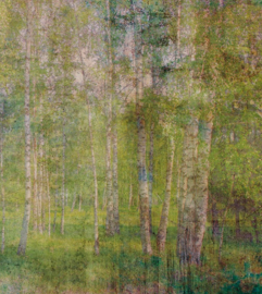 Dimex fotobehang bos 0351