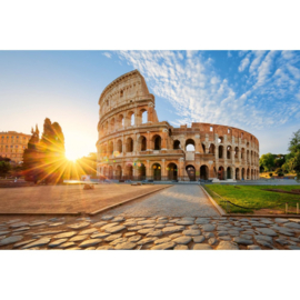 Dimex fotobehang  Colosseum in Rome MS-5-1148