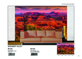 Dimex fotobehang  Monument Valley MS-5-1646