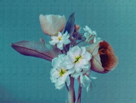 Fotobehang 38269-1 boeket bloemen