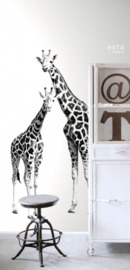 PhotowallXL giraffes 158701