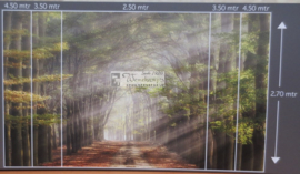 4714 Beukenlaantje in de herfst Hollandse landschappen