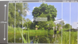 0937 Naardermeer bruggetje Hollandse landschappen