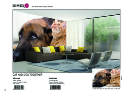 Dimex fotobehang kat en hond MS-5-0549