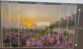 8599 Planken Wambuis Hollandse landschappen