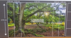 9017 Oerbos Hollandse landschappen