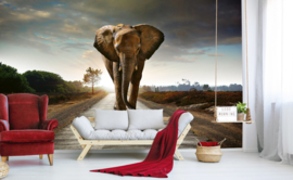 Dimex fotobehang olifant 0225