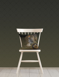 Circle of life TD4152 Mojo Olive