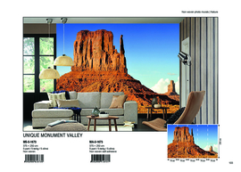 Dimex fotobehang  Monument Valley MS-5-1673
