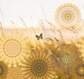 Circle of life TD4156 Mellow