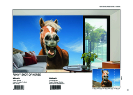 Dimex fotobehang paard MS-5-0421