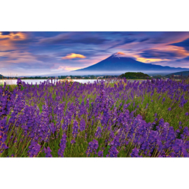 Dimex fotobehang Fuji berg met lavendel MS-5-1925