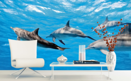 Dimex fotobehang dolfijnen 0218