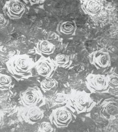 Dimex fotobehang rozen 0378