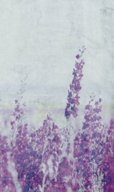 Dimex fotobehang lavendel 0365