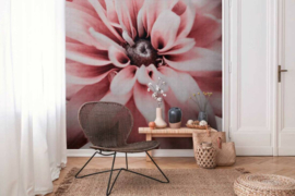Fotobehang 38270-1 bloemen